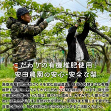 画像をギャラリービューアに読み込む, 【鳥取県福部町産】訳あり なつひめ 5kg 安田農園
