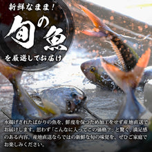 画像をギャラリービューアに読み込む, 【鳥取/鳥取港】獲れたて鮮魚 稚魚セット 3〜4種類（1〜2人前）
