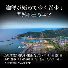 画像をギャラリービューアに読み込む, 鳥取県産 冷凍ガラエビ ボイルむきエビ（200gパック/個）
