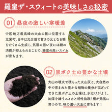 画像をギャラリービューアに読み込む, 【北栄町産スイカ】羅皇ザ・スウィート（7～9.5kg前後/1玉）
