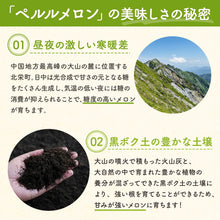 画像をギャラリービューアに読み込む, 【北栄町産】ペルルメロン 2玉セット（1.8kg～/1玉）
