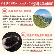 画像をギャラリービューアに読み込む, 【北栄町産スイカ】ひとりじめBonBonリッチ 2玉セット（2.5kg～/1玉）
