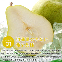 画像をギャラリービューアに読み込む, 【鳥取県青谷町産】シルバーベル 秀品 3kg(5～8個) ひかり農園 11月中旬頃順次発送開始予定
