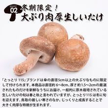 画像をギャラリービューアに読み込む, 【鳥取/八頭町産】肉厚原木生しいたけ とっとり115 2月10日より順次出荷開始
