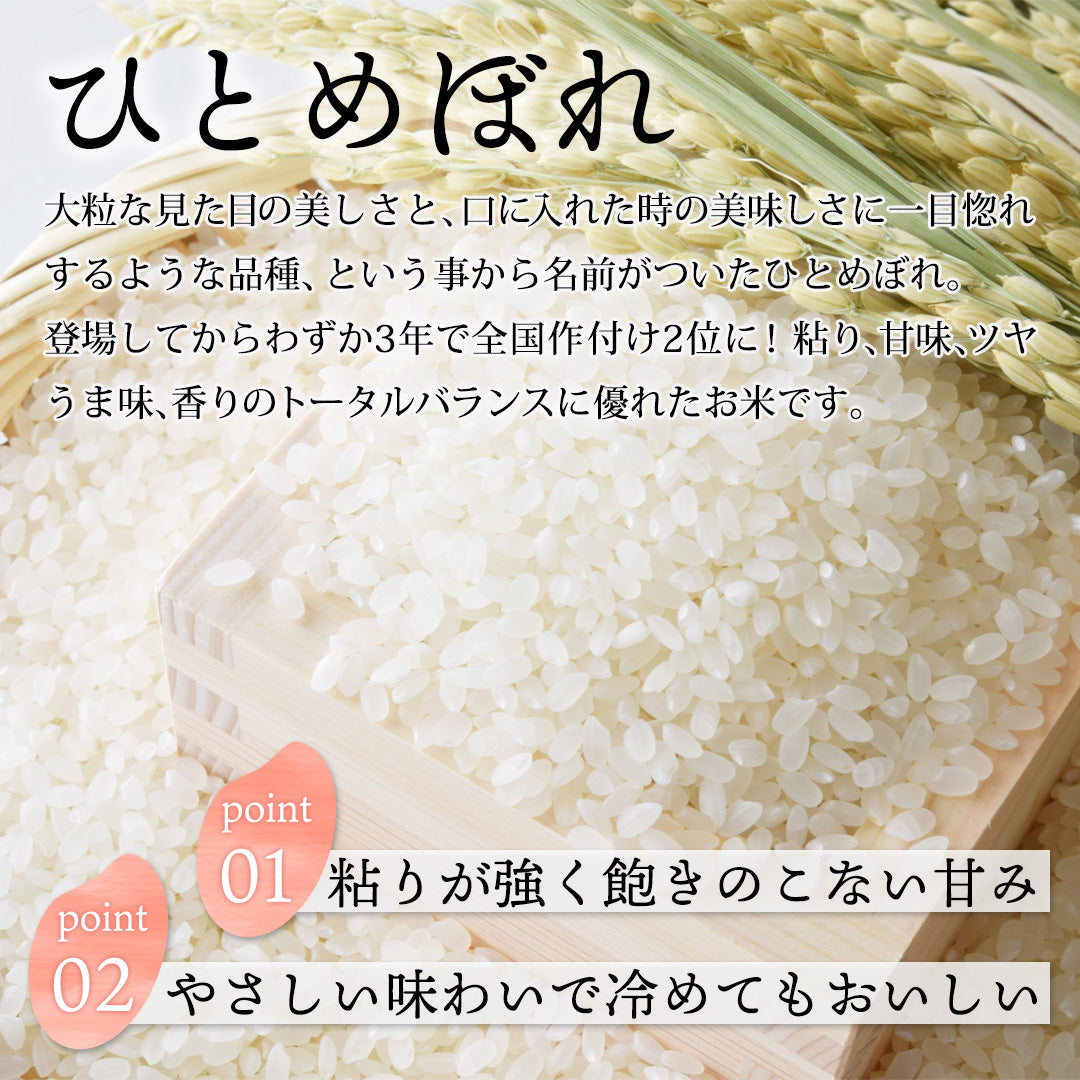 鳥取県産】因幡の白兎米 ひとめぼれ 令和7年度産 精米済 10kg