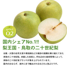 画像をギャラリービューアに読み込む, 【鳥取県倉吉市産】完熟二十世紀梨 秀品(3kg/3Lサイズ/7〜8個) 倉吉観光梨園 9月上旬以降順次発送
