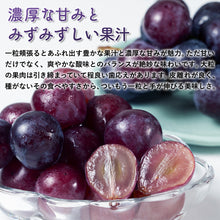 画像をギャラリービューアに読み込む, 【鳥取県北栄町産】 ピオーネ 秀品 1.2～1.5kg(2房)
