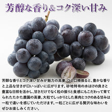 画像をギャラリービューアに読み込む, 【鳥取県北栄町産】 高妻 秀品 1.2～1.5kg(2房)
