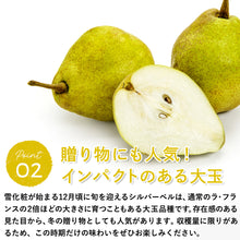画像をギャラリービューアに読み込む, 【鳥取県青谷町産】シルバーベル 秀品 3kg(5～8個) ひかり農園 11月中旬頃順次発送開始予定
