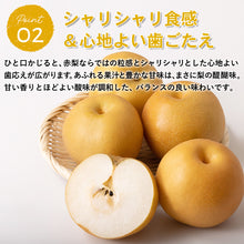 画像をギャラリービューアに読み込む, 【鳥取県青谷町産】幸水  秀品 3kg(6〜10個) ひかり農園 8月中旬頃順次発送開始予定

