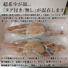 画像をギャラリービューアに読み込む, 【兵庫/浜坂港】《冷凍》二枚皮松葉ガニ 2枚セット(ボイル後約1kg) 11月10日以降順次発送
