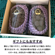 画像をギャラリービューアに読み込む, 【鳥取県北栄町産】 ピオーネ 秀品 1.2～1.5kg(2房)
