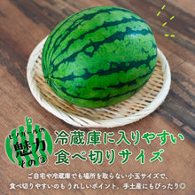 画像をギャラリービューアに読み込む, 【北栄町産スイカ】ピノガール 3玉セット（3kg前後/1玉）5月中旬頃発送開始予定
