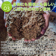 画像をギャラリービューアに読み込む, 【鳥取県青谷町産】二十世紀梨 秀品 3kg(6～10玉) ひかり農園 9月上旬頃順次発送開始予定
