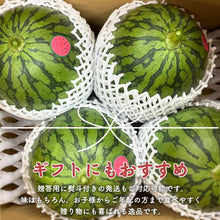 画像をギャラリービューアに読み込む, 【北栄町産スイカ】ピノガール 2玉セット（2.5kg～/1玉）
