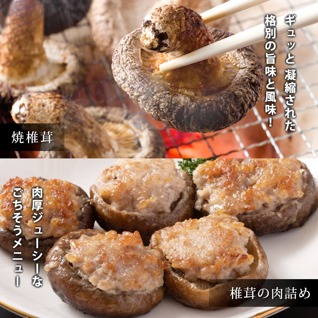 しいたけ原木 高知県津野町産) 原木しいたけ栽培キット 大小混じり4本(菌床打ち済み