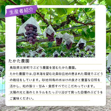 画像をギャラリービューアに読み込む, 【鳥取県北栄町産】 高妻 秀品 1.2～1.5kg(2房)
