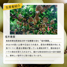 画像をギャラリービューアに読み込む, 【鳥取県湯梨浜町産】二十世紀梨 秀品 5kg(12～16玉) 福本農園 8月下旬以降順次発送
