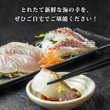 画像をギャラリービューアに読み込む, 【鳥取/鳥取港】獲れたて鮮魚 大家族セット 4〜6種類（6〜8人前）
