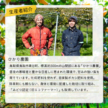画像をギャラリービューアに読み込む, 【鳥取県青谷町産】シルバーベル 秀品 3kg(5～8個) ひかり農園 11月中旬頃順次発送開始予定
