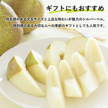 画像をギャラリービューアに読み込む, 【鳥取県青谷町産】シルバーベル 秀品 3kg(5～8個) ひかり農園 11月中旬頃順次発送開始予定
