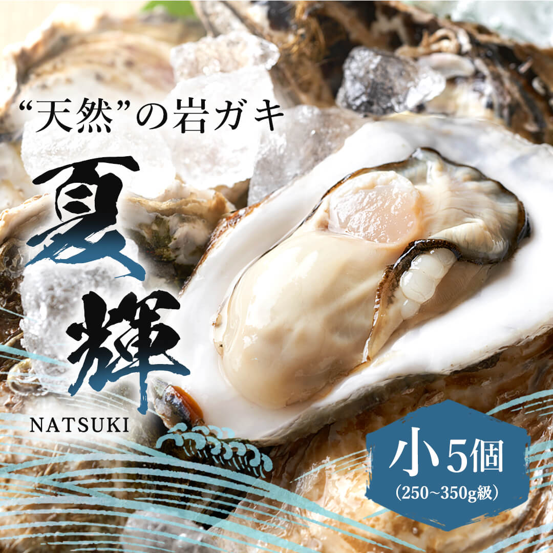 8月11日注文締切【鳥取県産】天然岩牡蠣 夏輝(ラベル無) 小サイズ（1個/250g～350g級） – さんチョク