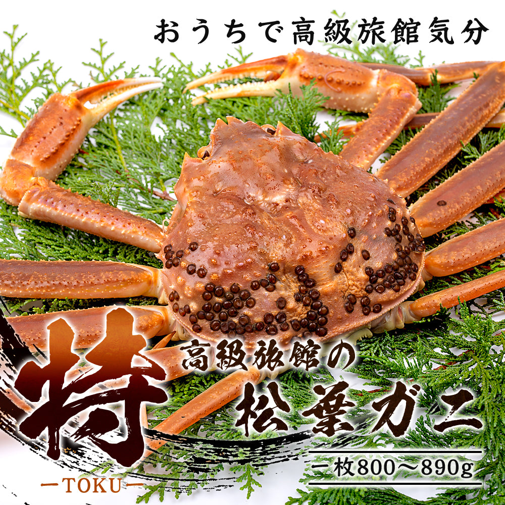 1-3_1_169c31cd-eec3-4e25-9a4d-