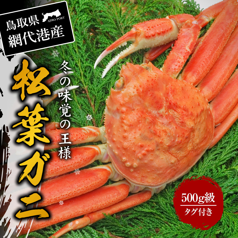 【鳥取県網代港産】松葉ガニ 500g級 ブランドタグ付 12/20年内注文締切 12/23まで着日指定可