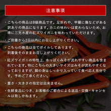 画像をギャラリービューアに読み込む, 《送料無料》【訳あり】鳥取県産  ボイル紅ズワイガニ B級 1.5kg(5枚入り)
