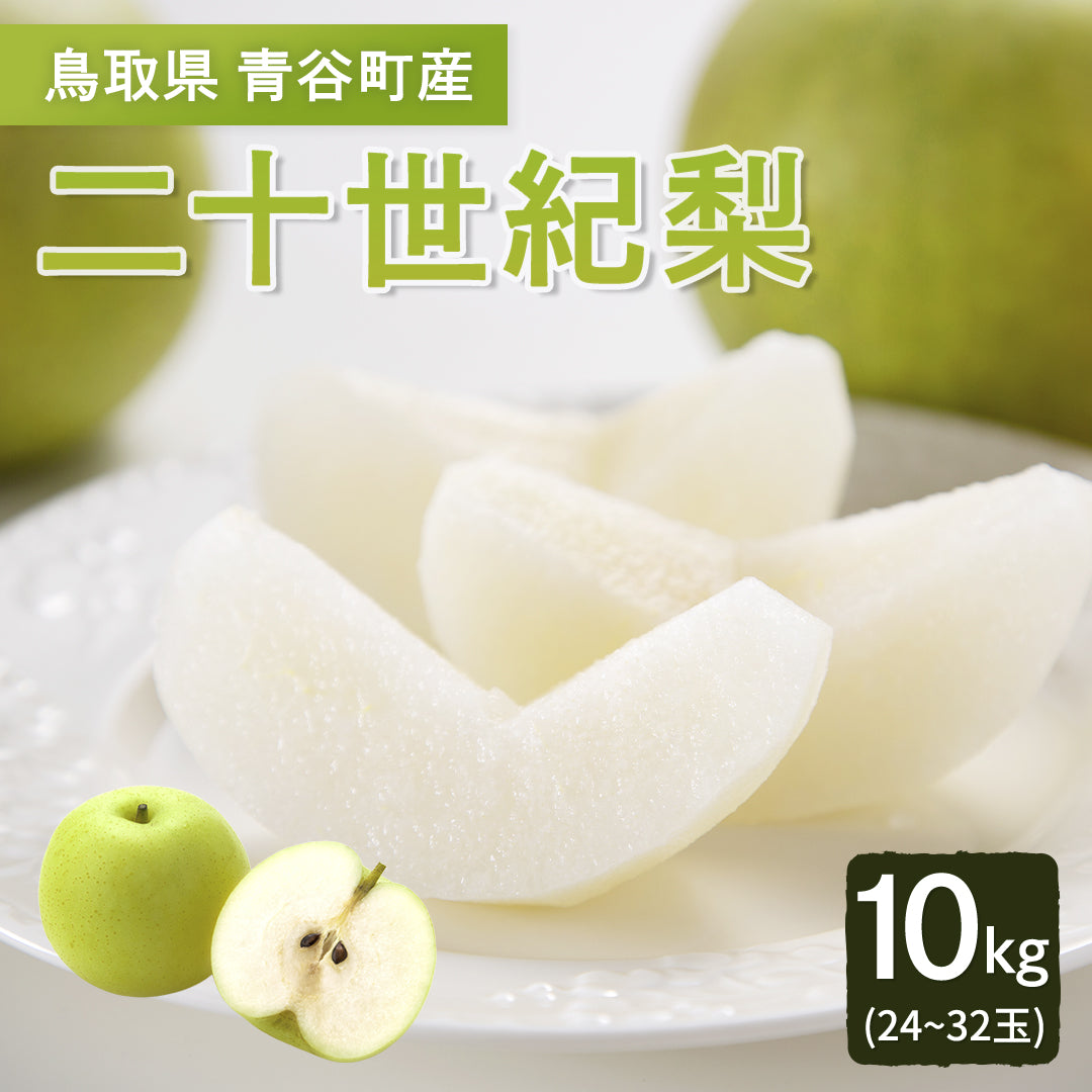 鳥取県青谷町産】二十世紀梨 秀品 3kg(6～10玉) ひかり農園 9月上旬頃