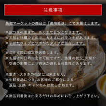 画像をギャラリービューアに読み込む, 【鳥取県産】天然岩牡蠣 夏輝(ラベル付) 特大サイズ（1個/500g級）6月10日以降発送
