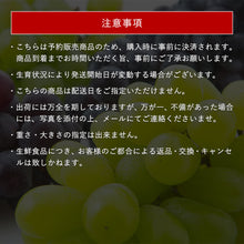 画像をギャラリービューアに読み込む, 8月下旬以降順次発送【島根県産】神紅&amp;シャインマスカットの食べ比べセット 2房(約1.5kg) 進物用
