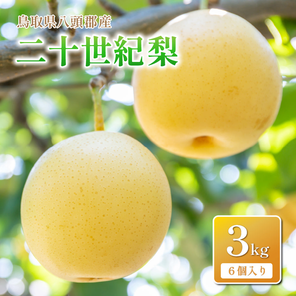 【鳥取県倉吉市産】二十世紀梨