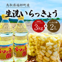 画像をギャラリービューアに読み込む, 【鳥取県福部町産】生洗いらっきょう3kg＆らっきょう酢2Lセット サイズ無選別（ML中心） 2025年6月中旬以降発送
