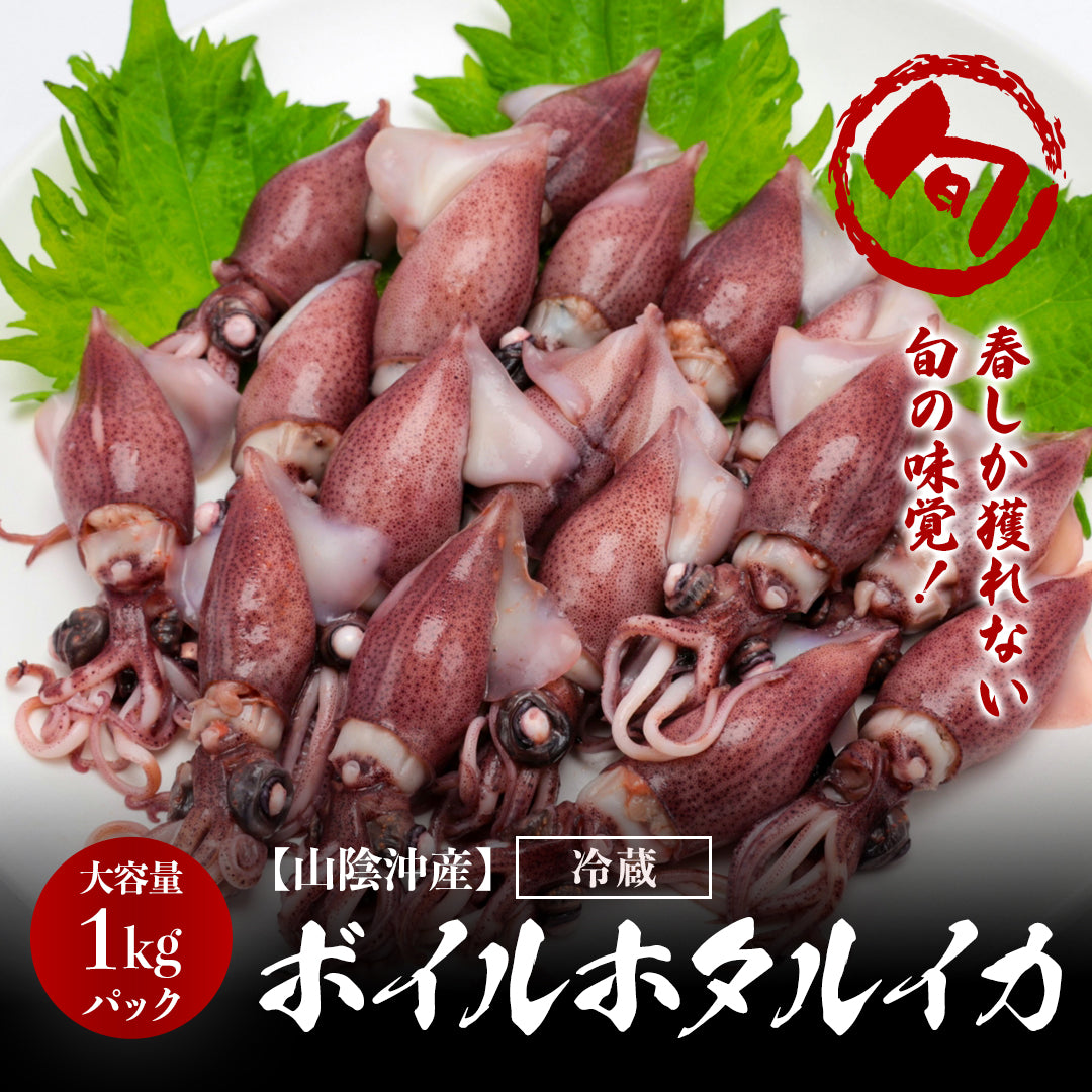 山陰沖産】〈着日指定不可〉ボイルホタルイカ（冷蔵）250gパック