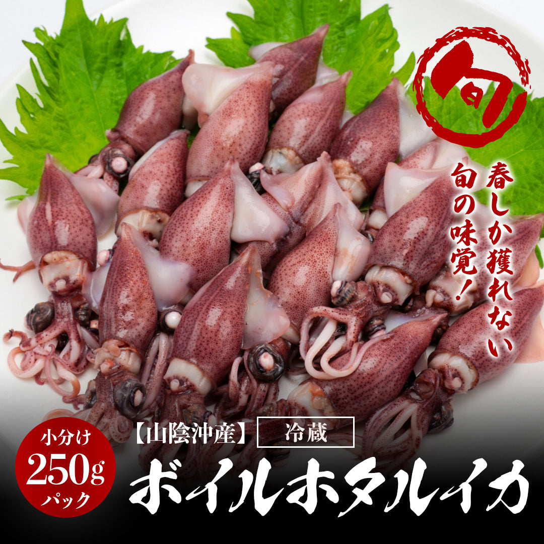 ホタルイカの商品一覧 | さんチョク