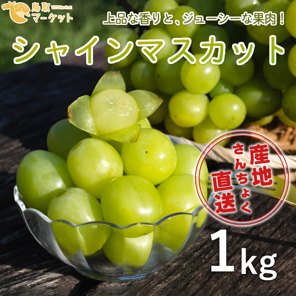 【鳥取県産】シャインマスカット 1kg(2～3房)