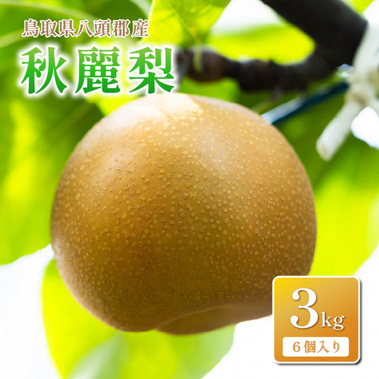 【鳥取県八頭郡産】秋麗梨 秀品 はっとうフルーツ観光園 8月末頃順次発送開始予定