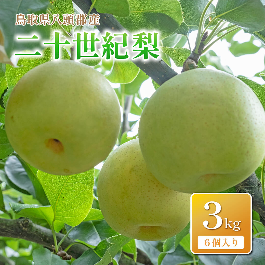 二十世紀梨の商品一覧 | さんチョク