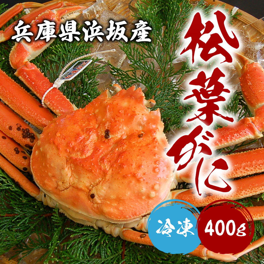 【兵庫/浜坂港】ボイル松葉ガニ（冷凍）11月10日以降順次出荷