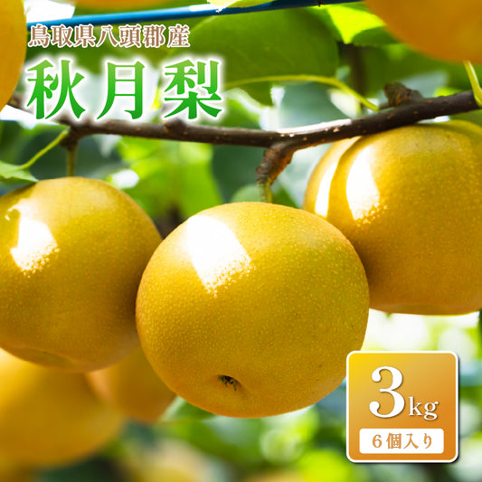 【鳥取県八頭郡産】秋月梨 秀品 はっとうフルーツ観光園 10月上旬頃順次発送開始予定