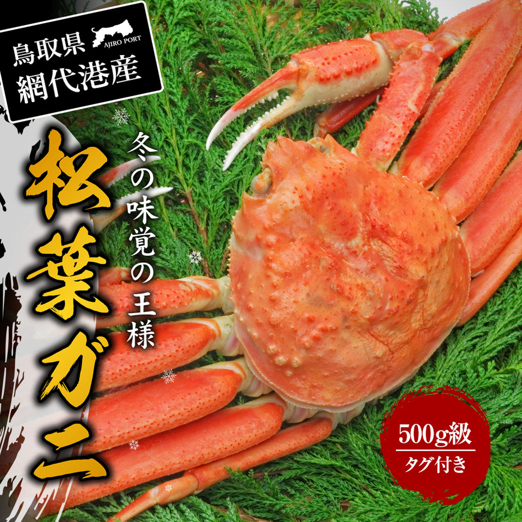【鳥取/網代港】松葉ガニ（贈答用） タグ付 11月中旬出荷開始予定