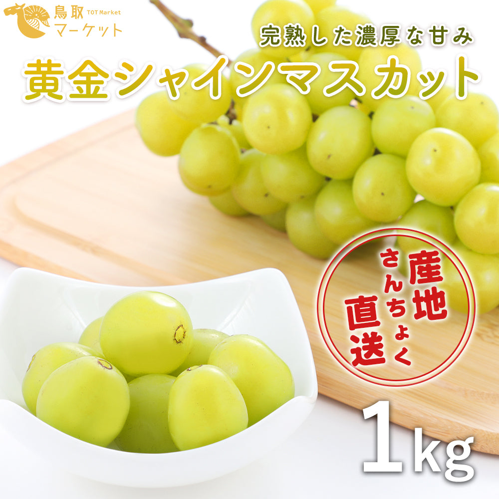 【鳥取県産】黄金シャインマスカット 1kg(2～3房)