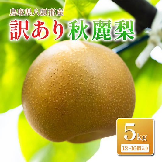 【鳥取県八頭郡産】訳あり秋麗梨 5kg はっとうフルーツ観光園 8月末頃順次発送開始予定
