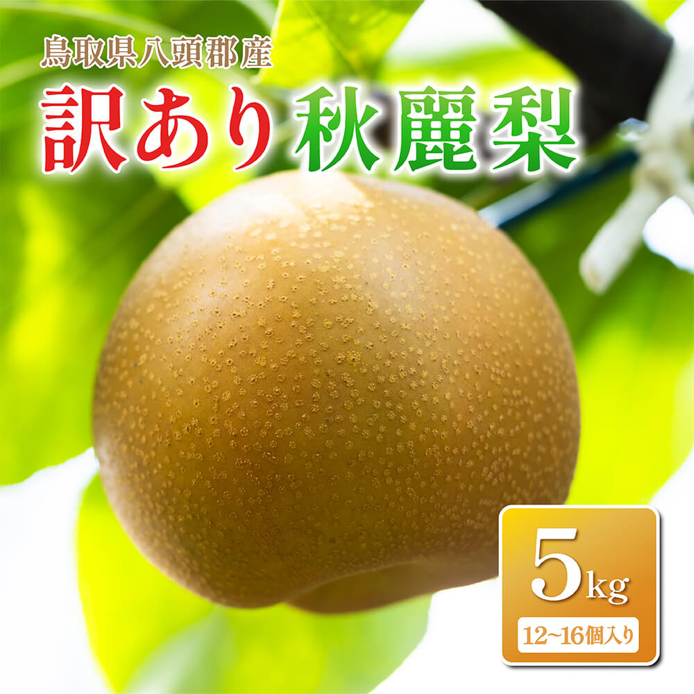鳥取県八頭郡産】訳あり秋麗梨 5kg はっとうフルーツ観光園 8月末頃