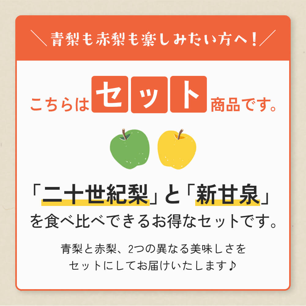 鳥取県福部町産】二十世紀梨と新甘泉のミックスセット 秀品 東光園 9月