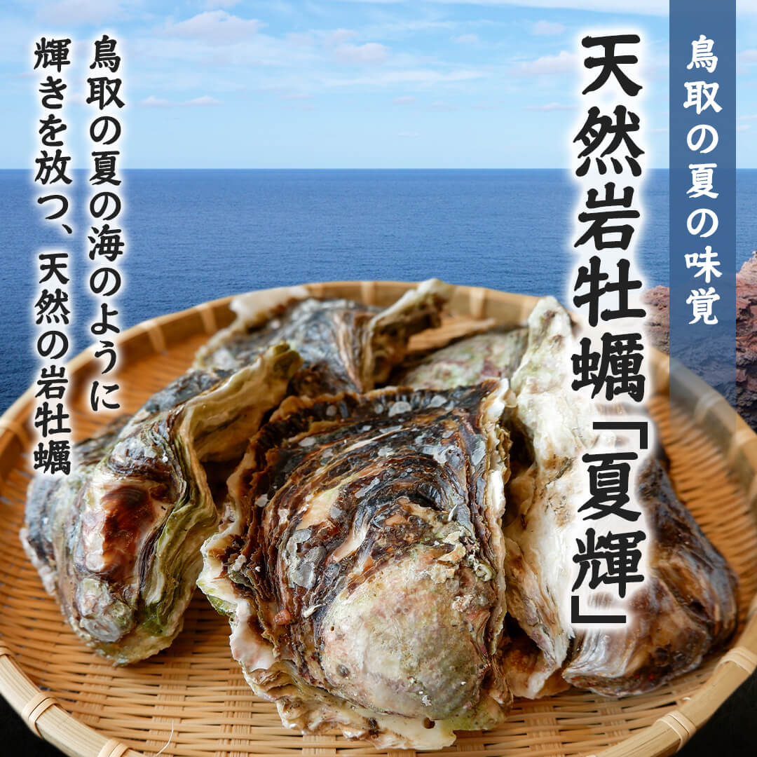 境港産】天然岩牡蠣 夏輝(ラベル付) 大サイズ（1個/500g級）殻開け済