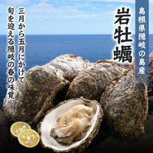 画像をギャラリービューアに読み込む, 4月25日注文締切【隠岐の島産】岩牡蠣（養殖）Lサイズ（300～350g）
