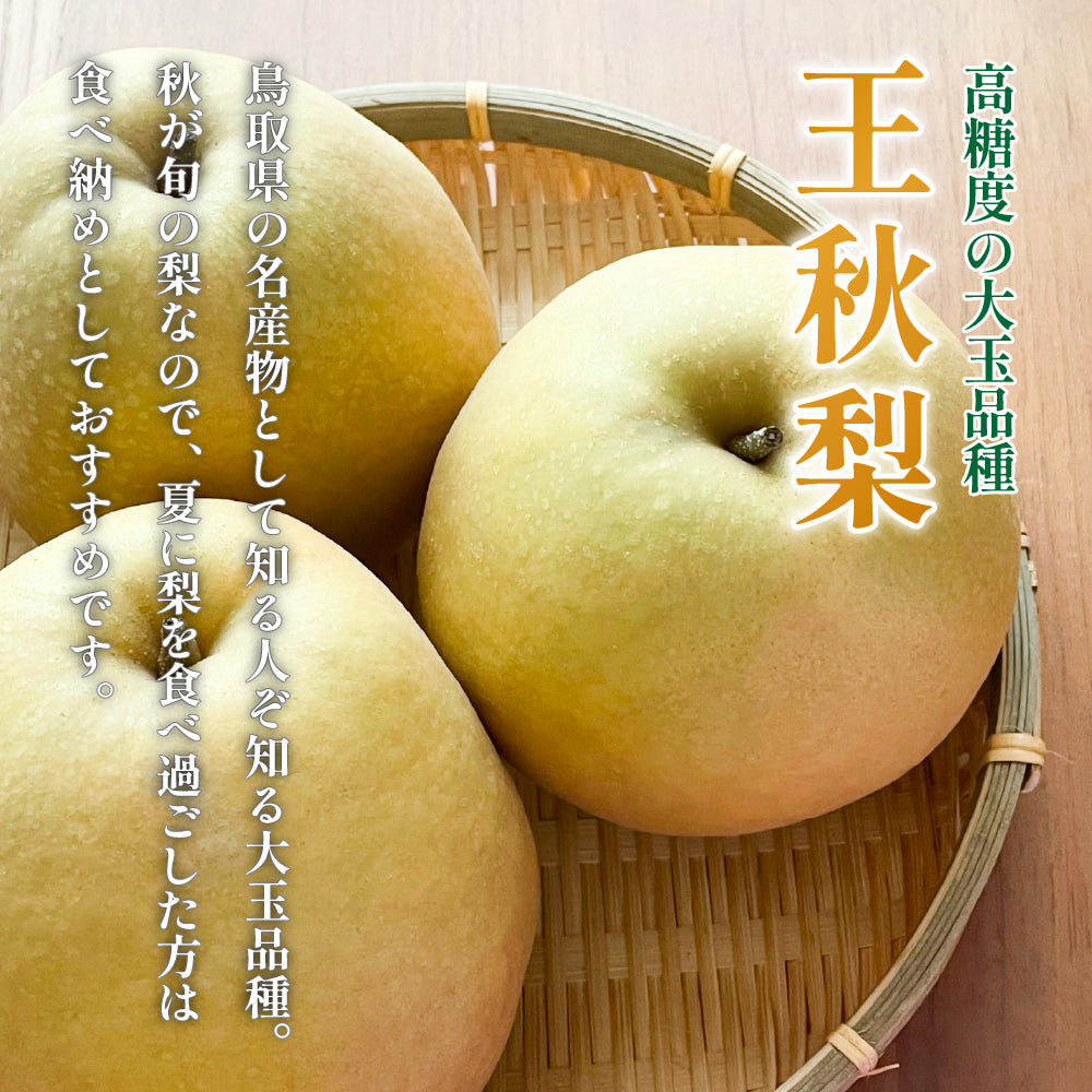 鳥取県八頭郡産】王秋梨 秀品 はっとうフルーツ観光園 10月中旬