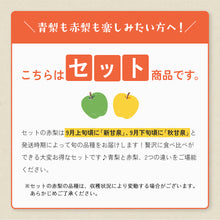 画像をギャラリービューアに読み込む, 9月14日注文締切【東光園産】二十世紀梨と新甘泉or秋甘泉のセット 3kg
